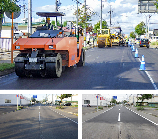 �吳���ΐ��ʐ��\�w�ܑ��H��